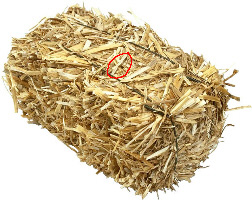 haybale.jpg